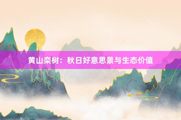 黄山栾树：秋日好意思景与生态价值