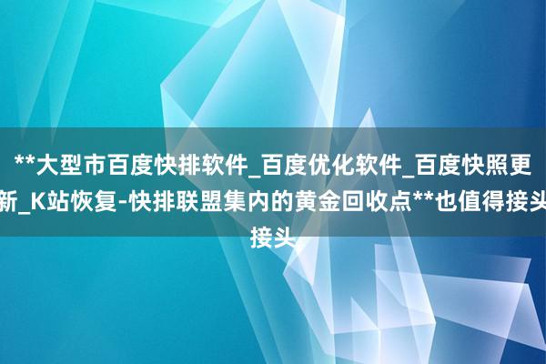 **大型市百度快排软件_百度优化软件_百度快照更新_K站恢复-快排联盟集内的黄金回收点**也值得接头